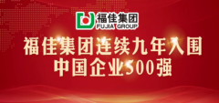 喜讯福佳集团连续九年入围中国企业500强榜单