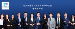 北京市盈科（深圳）律师事务所—铮锋律师团