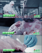 金锣集团：工艺创新赋能品质提升 探索肉制品行业高质量发展